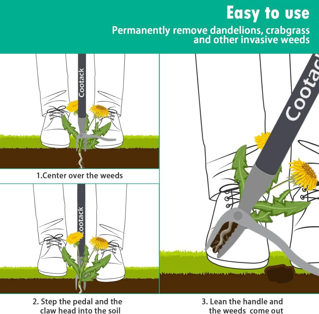 Cootack 52 Weed Puller Long Handle Stand-up Weeding Tool, Long Hand Weeder with Stainless Steel Claw for Garden/Yard/Lawn, Easily Weed Remover Without Bending or Kneeling (Length: 52)