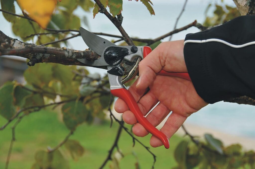 Felco Pruning Shears (F 6) - High Performance Swiss Made One-Hand Garden Pruners - 100052385