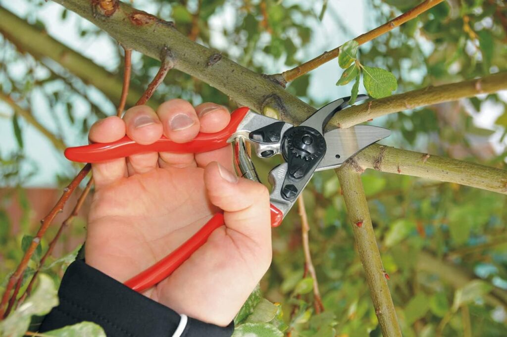 Felco Pruning Shears (F 6) - High Performance Swiss Made One-Hand Garden Pruners - 100052385