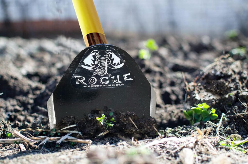 Rogue Field Hoe, Garden Tool for Digging, Weeding, Gardening and Cultivating, 6 inch Head and 60 inch Long Fiberglass Handle. Bonus Arcadian Cooling Towel (Colors Vary)