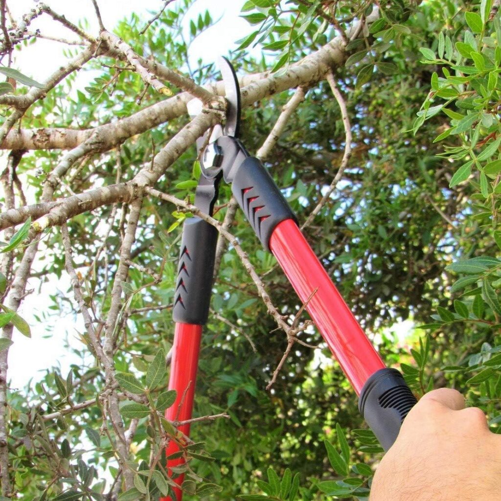 TABOR TOOLS GG12A Anvil Lopper with Compound Action, 30 Inch Tree Trimmer, Branch Cutter with ⌀ 2 Inch Cutting Capacity, Chops Thick Branches with Ease.