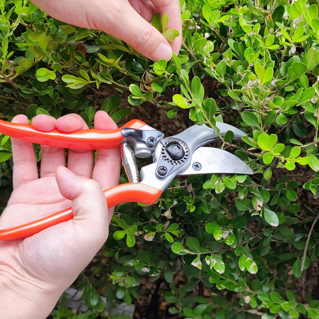 YIYITOOLS Pruning Shears, One-Hand Garden Shears, Gardening Hand Tools Tree Trimmers with Rubber Handles, Pruning Scissors with Titanium Coated Stainless Steel Blades, Gift For Gardeners